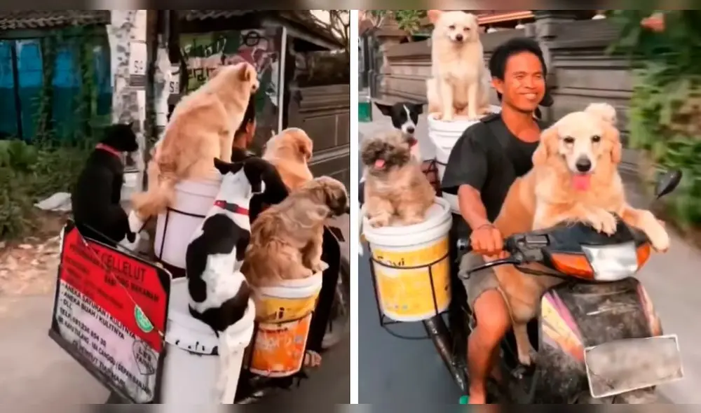 El video viral obtuvo millones de reproducciones en la red social. Foto: captura de Facebook