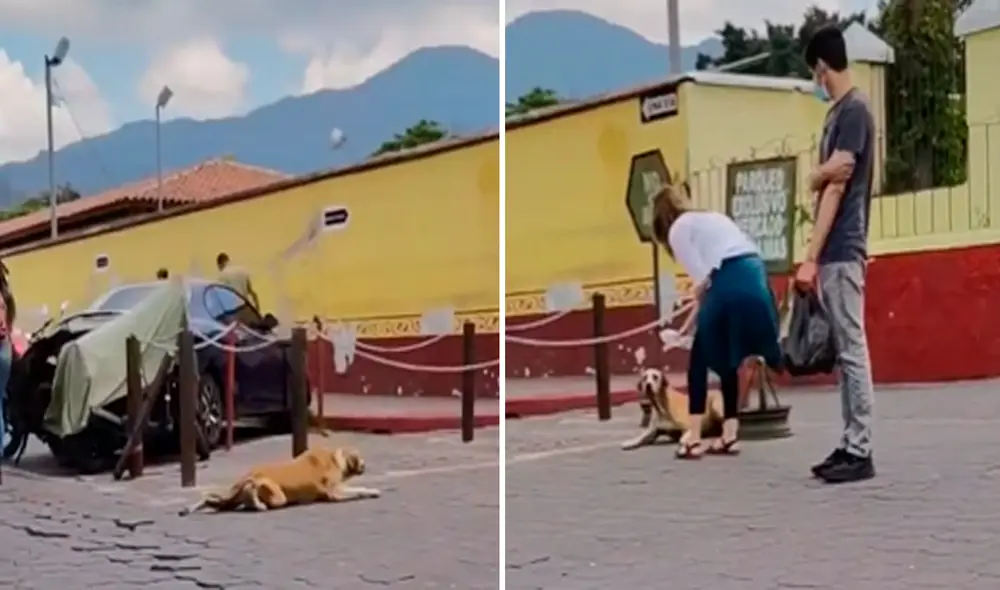 Los turistas se sorprendieron y comenzaron a reír, pues habían caído en el timo del perro. Foto: captura de TikTok Los turistas se sorprendieron y comenzaron a reír, pues habían caído en el timo del perro. Foto: captura de TikTok