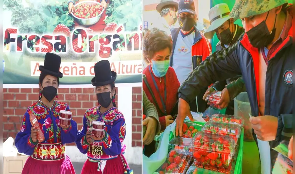 Alrededor de 40 productores de Acora participaron en evento. Foto: Juan Carlos Cisneros (La República)/Municipio de Acora