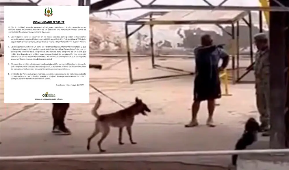 De acuerdo al comunicado, el perro se encuentra en buenas condiciones de salud. Foto: composición LR/ difusión/ Oficina de Informaciones del Ejército De acuerdo al comunicado, el perro se encuentra en buenas condiciones de salud. Foto: composición LR/ difusión/ Oficina de Informaciones del Ejército