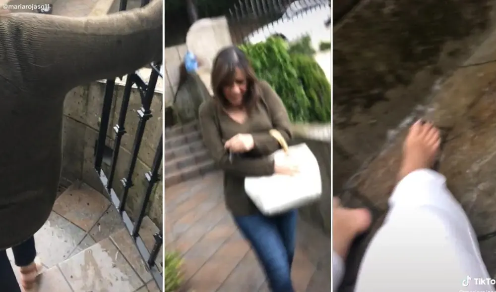 La viral escena compartida por María (@
mariarojasg11) logró obtener millones de reproducciones y reacciones. Foto: captura de TikTok La viral escena compartida por María (@
mariarojasg11) logró obtener millones de reproducciones y reacciones. Foto: captura de TikTok