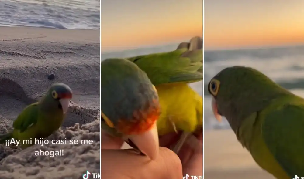 La usuaria Alessa (@alxxndra07) logró obtener millones de reproducciones y reacciones en poco tiempo. Foto: captura de TikTok