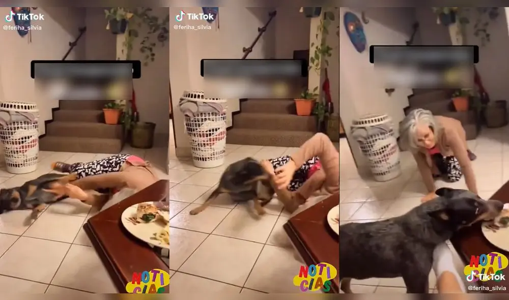 El cachorro aprovechó la distracción de su cuidadora para llevarse su comida. Video: @kendra_silvia/TikTok