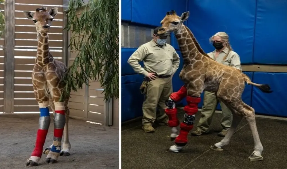 El video es viral en YouTube y otras redes sociales. Foto: YouTube El video es viral en YouTube y otras redes sociales. Foto: YouTube