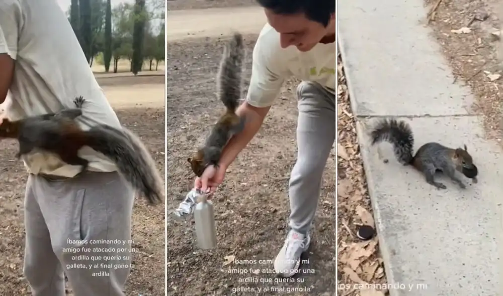 La viral escena compartida por Fernanda (@fernandadwoo) logró obtener miles de reproducciones y reacciones. Foto: captura de TikTok