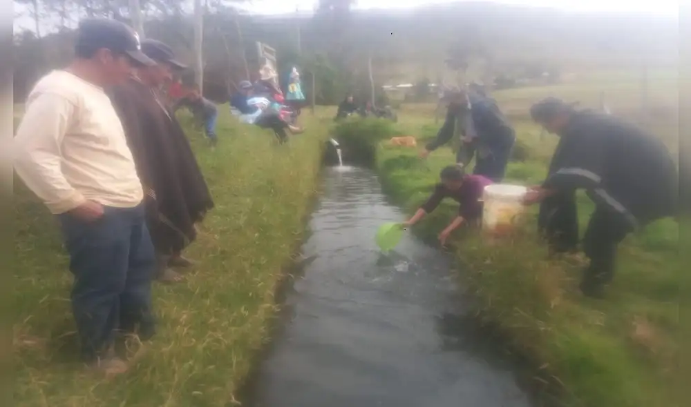 ONG CHOICE Humanitarian Perú implementó proyecto de crianza de truchas. Foto: La República.