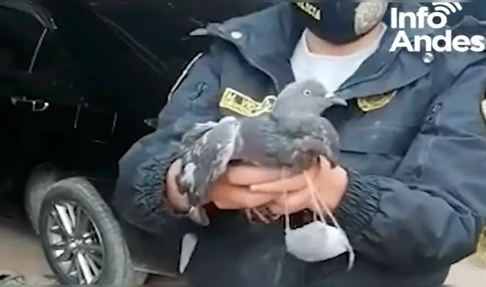 La Policía Nacional indicó que aún no se realiza el pesaje del paquete. Foto: captura / Info Andes La Policía Nacional indicó que aún no se realiza el pesaje del paquete. Foto: captura / Info Andes