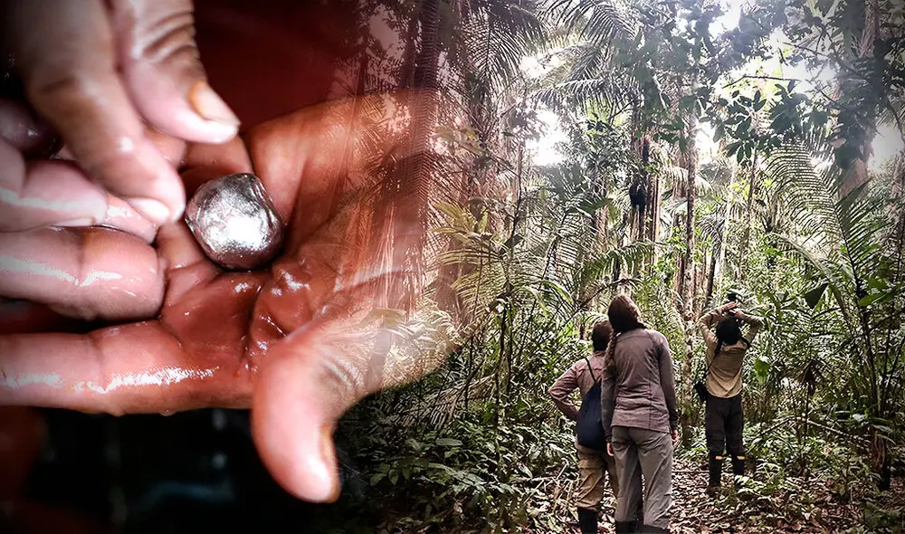 El uso de mercurio para la minería está prohibido, pero sigue siendo una fuente de contaminación en la Amazonía. Foto: composición Gerson Cardoso/AFP/Cincia
