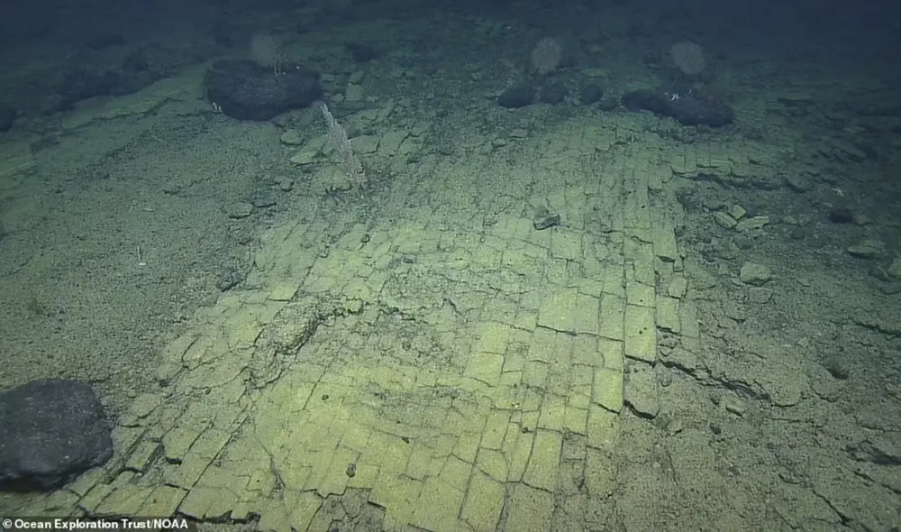 El camino de ladrillos fue confundido con un camino a la Atlántida por los científicos marinos del buque de exploración Nautilus. Foto: Ocean Exploration Trust / NOAA