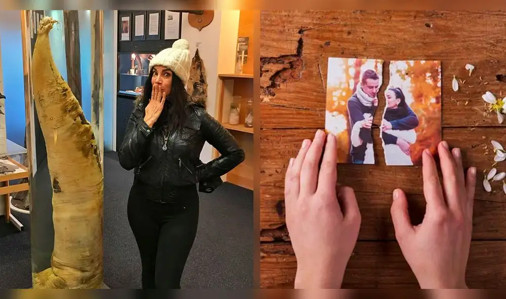 Los museos más extraños del mundo son también los más visitados por los turistas. Foto: Carmen Dominicci/Infobae.