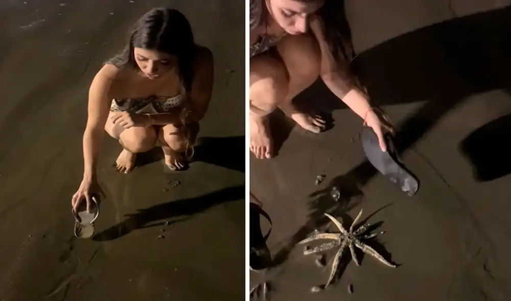 Una mujer detuvo su caminata por una playa para ayudar a un pequeño animal que se movía con dificultad. Foto: captura de YouTube