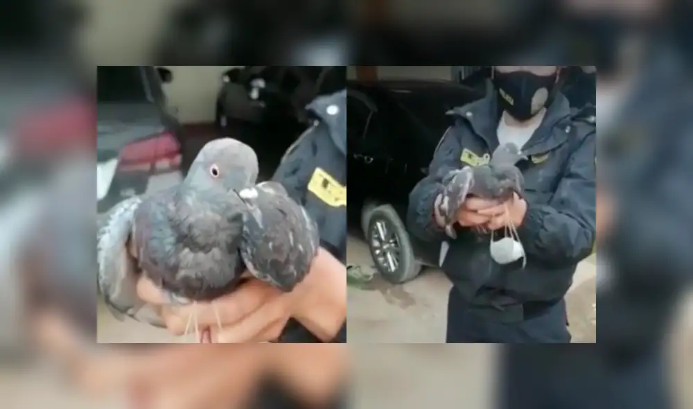 Se investiga a internos del penal de Huancayo por este caso. Foto: captura RPP Noticias Se investiga a internos del penal de Huancayo por este caso. Foto: captura RPP Noticias