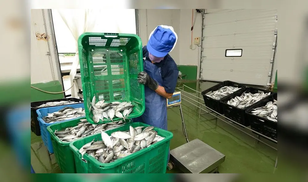 El 20% de las micro y pequeñas empresas se encuentran en el norte del país. Foto: SNI.