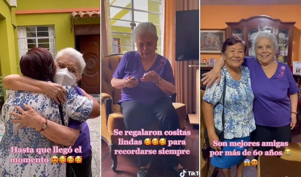 La viral escena compartida por Stefania (@stefrosales99) logró obtener miles de reproducciones y reacciones en poco tiempo. Foto: captura de TikTok