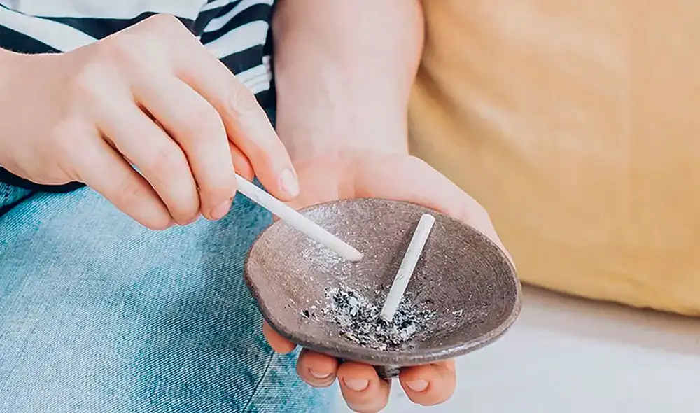 Conoce cuáles son los productos caseros que pueden eliminar este molesto aroma. Foto: The Spruce