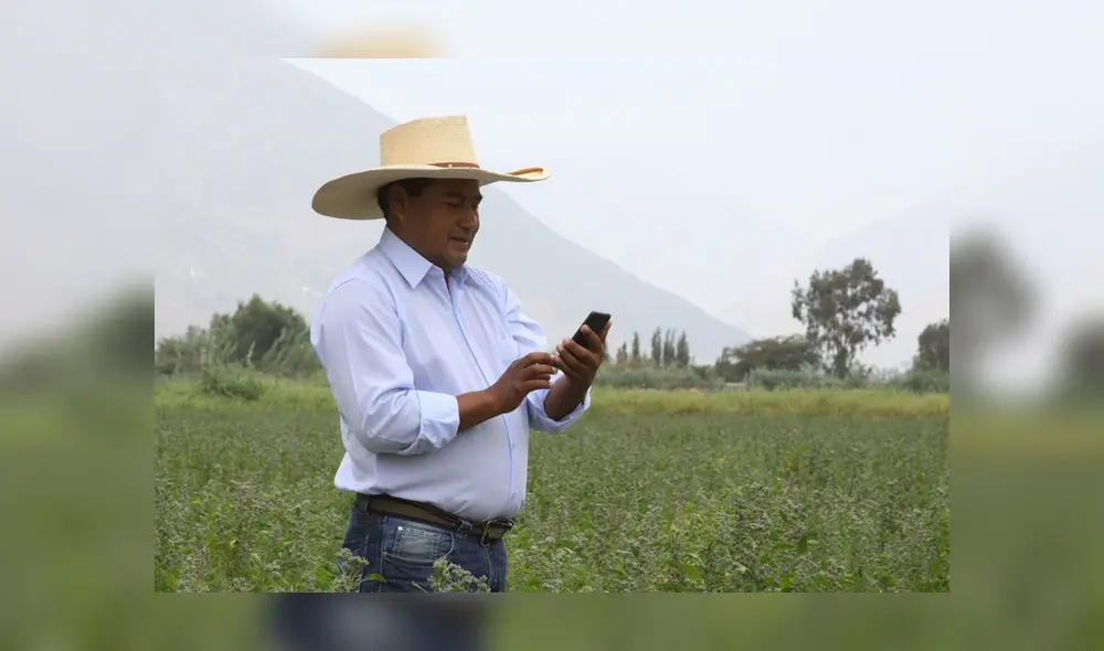 Es importante indicar que el Datero Agrario cuenta con información de la base de datos del Sistema de Abastecimiento y Precios (Sisap) del Midagri. Foto: difusión Es importante indicar que el Datero Agrario cuenta con información de la base de datos del Sistema de Abastecimiento y Precios (Sisap) del Midagri. Foto: difusión