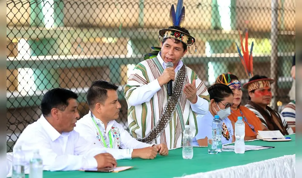 El presidente Castillo dijo que la crisis política no ha sido generada por él.  Foto: Presidencia de la República