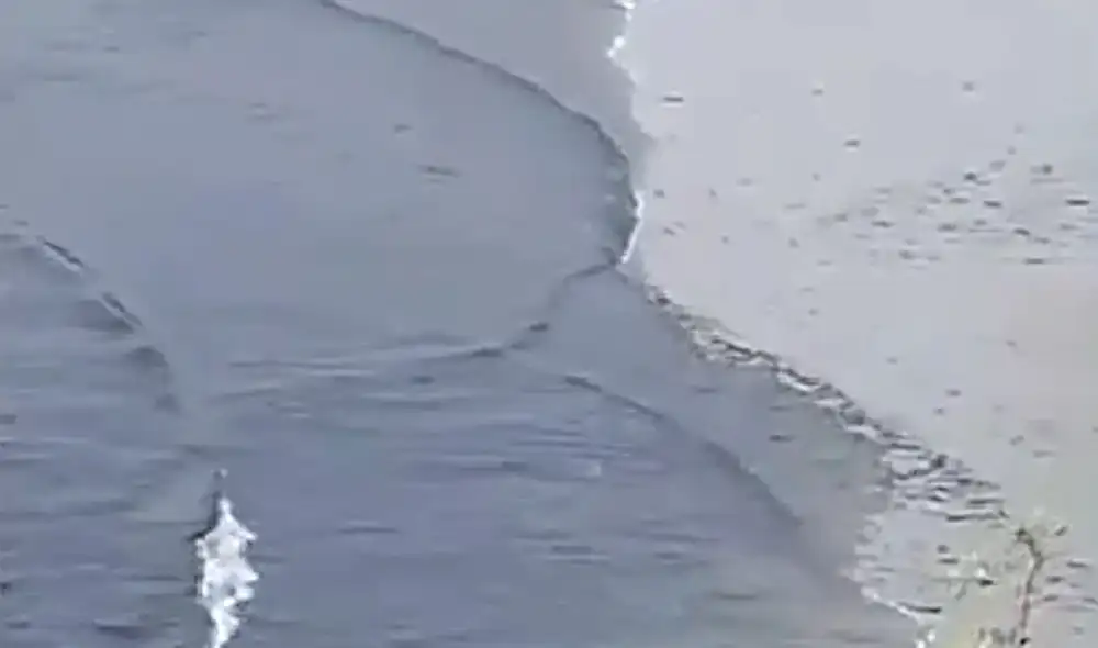 Video donde se observa presencia de "petróleo" en Playa Hermosa se hizo viral rápidamente. Foto captura de Twitter Video donde se observa presencia de "petróleo" en Playa Hermosa se hizo viral rápidamente. Foto captura de Twitter