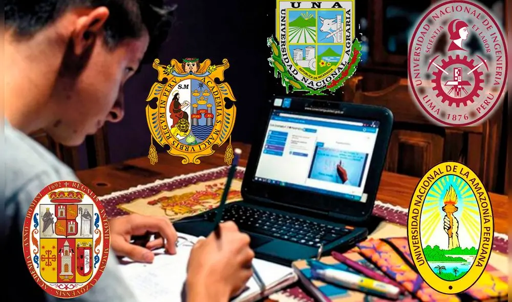 Según datos de la Sunedu, el año 2020, el número de profesionales titulados de universidades públicas ascendía a un total de 11.084. Foto: Composición LR / UCH