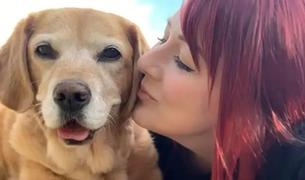 La mujer sabía que no podía dejar a su can, ya que era su ‘mejor amiga’ desde que la adoptó hace 15 años. Foto: Megan Marshall/ Facebook