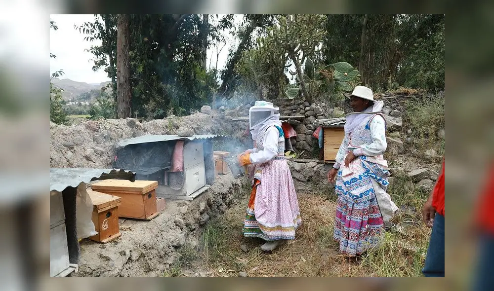 Valeriana expandió su negocio a nivel provincial y busca abrir mercados en la región. Foto: Midis