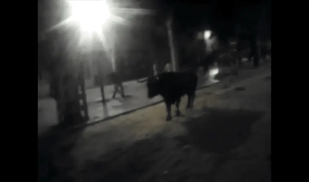 El hecho sucedió en la localidad de Moita, a 40 kilómetros de Lisboa, capital de Portugal. Foto: CMTV