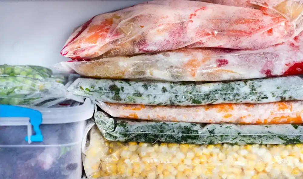 Descubre cómo descongelar los alimentos de forma correcta. Foto: Bioguía