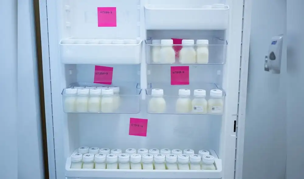 La leche materna procesada en espera de distribución se ve en el Centro de Lactancia Materna para el Gran Washington. Foto: AFP La leche materna procesada en espera de distribución se ve en el Centro de Lactancia Materna para el Gran Washington. Foto: AFP