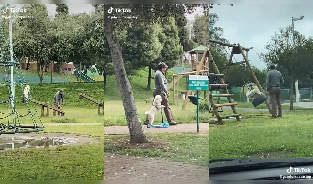 El señor hizo que su perro se divirtiera en el parque. Foto: composición/ @gabrielitapacitap/TikTok