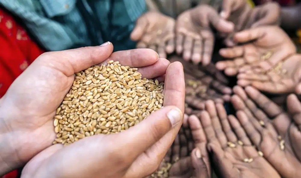 Preocupación ante la crisis alimentaria, ya que también podría contribuir a la inflación que viven los países desarrollados. Foto: Getty Images Preocupación ante la crisis alimentaria, ya que también podría contribuir a la inflación que viven los países desarrollados. Foto: Getty Images