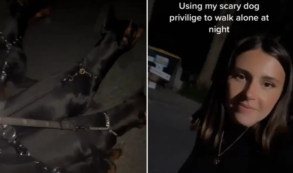 La viral escena compartida en redes por la cuenta @starkledob logró obtener millones de reproducciones y reacciones en poco tiempo. Foto: captura de TikTok