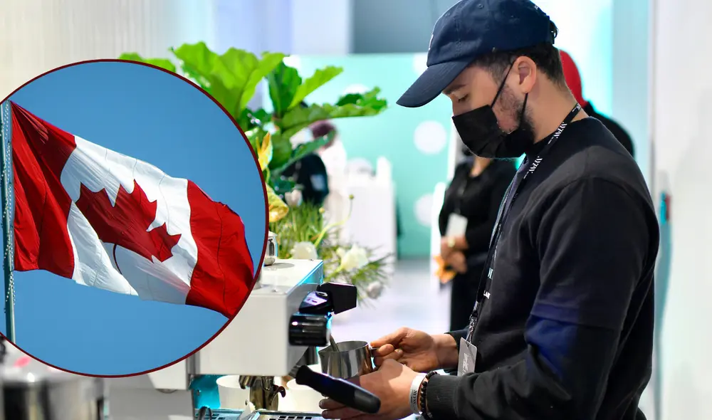 Los estudiantes extranjeros cuentan con varias opciones de trabajo en Canadá. Foto: composición/ AFP