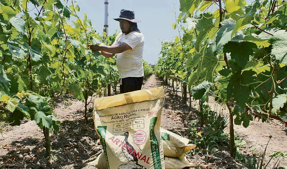 Monto insuficiente. Presupuesto asignado para la compra de fertilizantes solo cubriría un 25% de hectáreas de 1,6 millones usadas para la agricultura. Foto: difusión