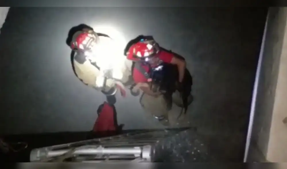 Bomberos lograron rescatar ileso a un cachorro en Surco. Foto: difusión