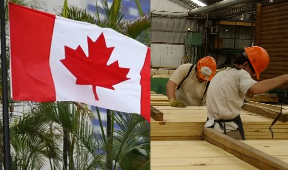 Canadá ofrece empleos para mexicanos con más de 7 mil soles mensuales de sueldo. Foto: MisionesOnline/Instagram