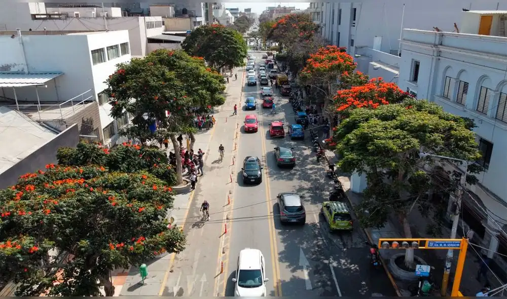Árboles ubicados en la avenida José Balta serían removidos por trabajos de proyecto vial. Foto: Clinton Medina/ La República