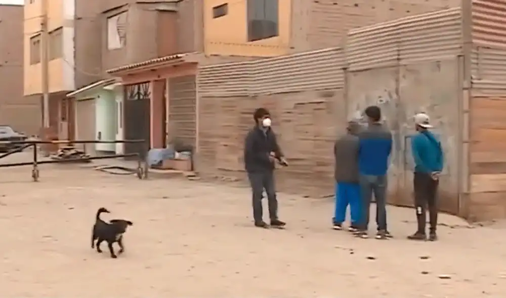 El comerciante fue asesinado en la cochera donde guardaba el vehículo que transportaba su mercadería. Video: América TV