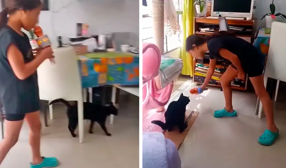 El video viral superó el millón de reproducciones en la red social. Foto: captura de TikTok El video viral superó el millón de reproducciones en la red social. Foto: captura de TikTok