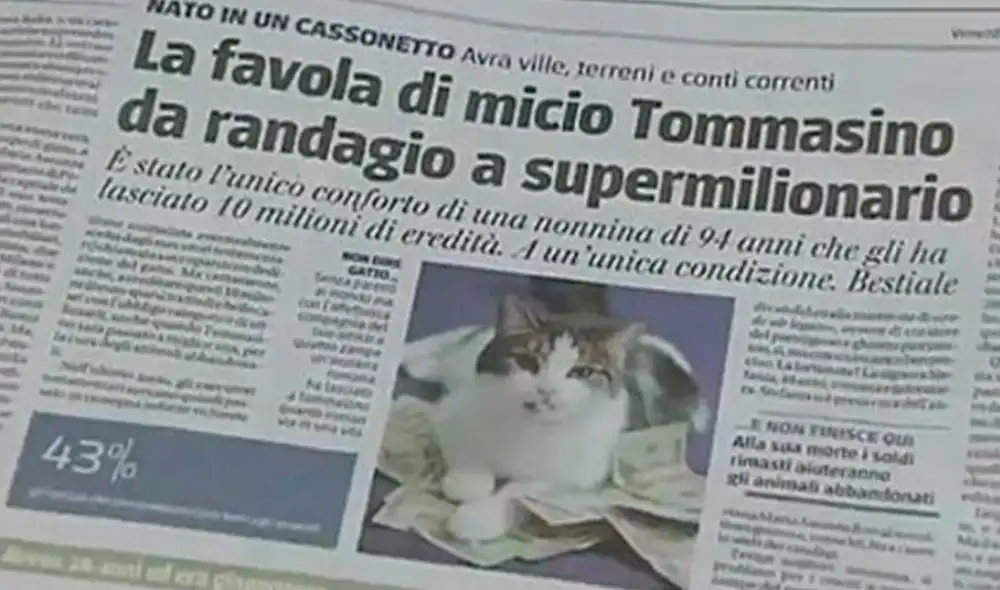 La fortuna de Tomassino asciende a 13, 2 millones de dólares. Foto: Clarín