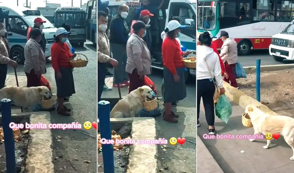 La viral escena compartida por Valeria (@valeriatn97.2) obtuvo miles de reacciones y reproducciones en poco tiempo. Foto: captura de TikTok La viral escena compartida por Valeria (@valeriatn97.2) obtuvo miles de reacciones y reproducciones en poco tiempo. Foto: captura de TikTok