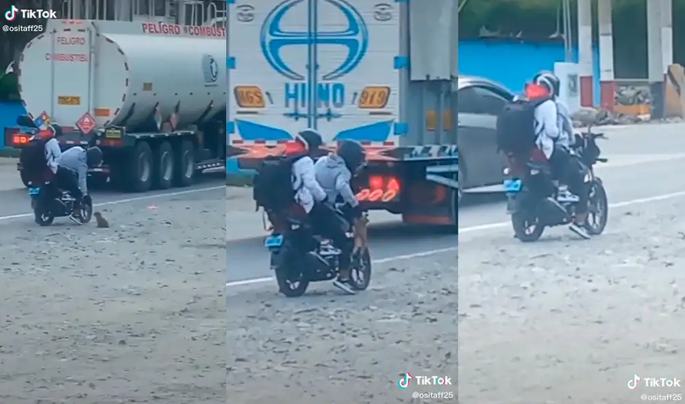 El hombre no dudó en adoptar al cachorro. Foto: composición/@ositaff25/TikTok El hombre no dudó en adoptar al cachorro. Foto: composición/@ositaff25/TikTok