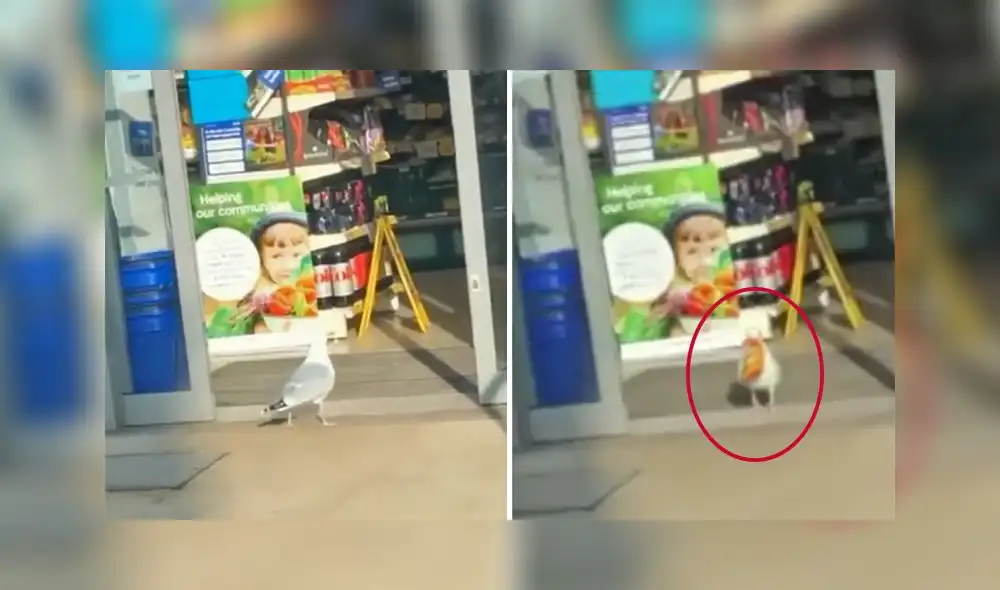 El testigo fue identificado como Liam Brown y fue el autor del clip viral. Foto: captura de YouTube