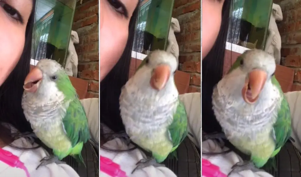 La viral escena compartida por el usuario @jachuunr7 logró obtener millones de reproducciones y miles de reacciones en poco tiempo. Foto: captura de TikTok