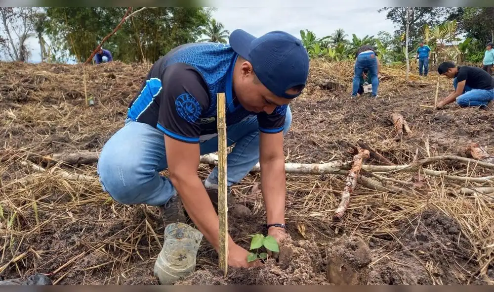 Alumnos del IESTP Nor Oriental de la Selva reforestaron parcela de Estación Pesquera Ahuashiyacu. Foto: Goresam. Alumnos del IESTP Nor Oriental de la Selva reforestaron parcela de Estación Pesquera Ahuashiyacu. Foto: Goresam.