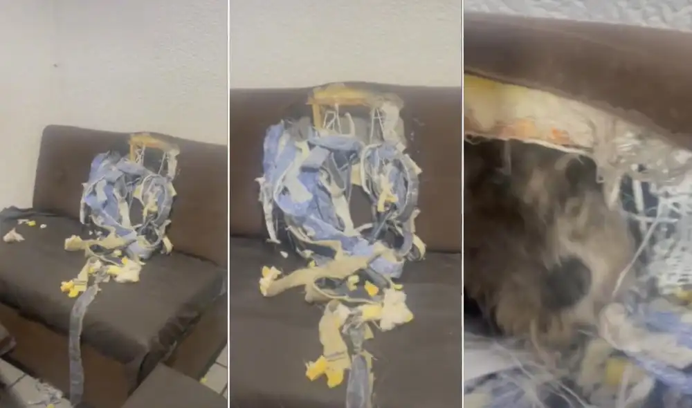 La viral escena compartida en redes por Naomi (@naomiriveracarm) logró obtener miles de reproducciones y reacciones. Foto: captura de TikTok La viral escena compartida en redes por Naomi (@naomiriveracarm) logró obtener miles de reproducciones y reacciones. Foto: captura de TikTok