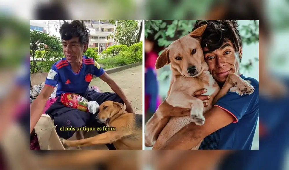El clip viral obtuvo más de 3,3 millones de reproducciones en la red social. Foto: captura de TikTok