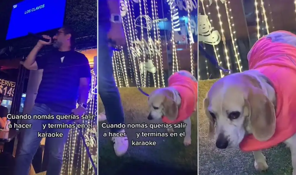 La viral escena compartida por Jair (@eljajajairo) logró obtener miles de reacciones y reproducciones. Foto: captura de TikTok La viral escena compartida por Jair (@eljajajairo) logró obtener miles de reacciones y reproducciones. Foto: captura de TikTok