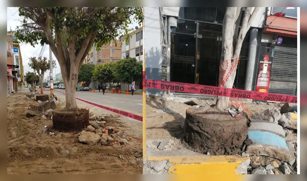 En la avenida José Balta se inició la demolición de las jardineras. Foto: composición La República