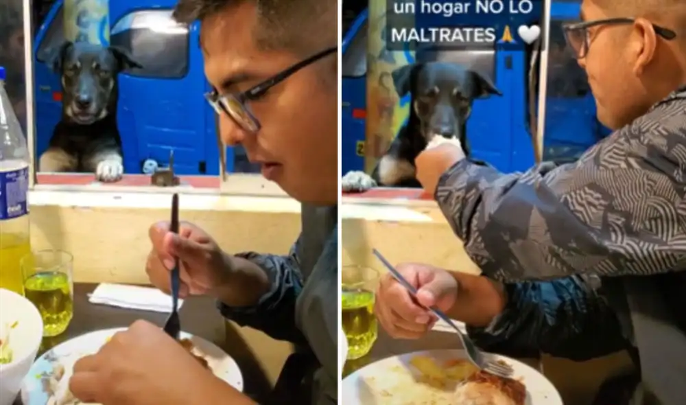 Miles de usuarios han quedado conmovidos con este tierno gesto. Foto: captura de TikTok Miles de usuarios han quedado conmovidos con este tierno gesto. Foto: captura de TikTok