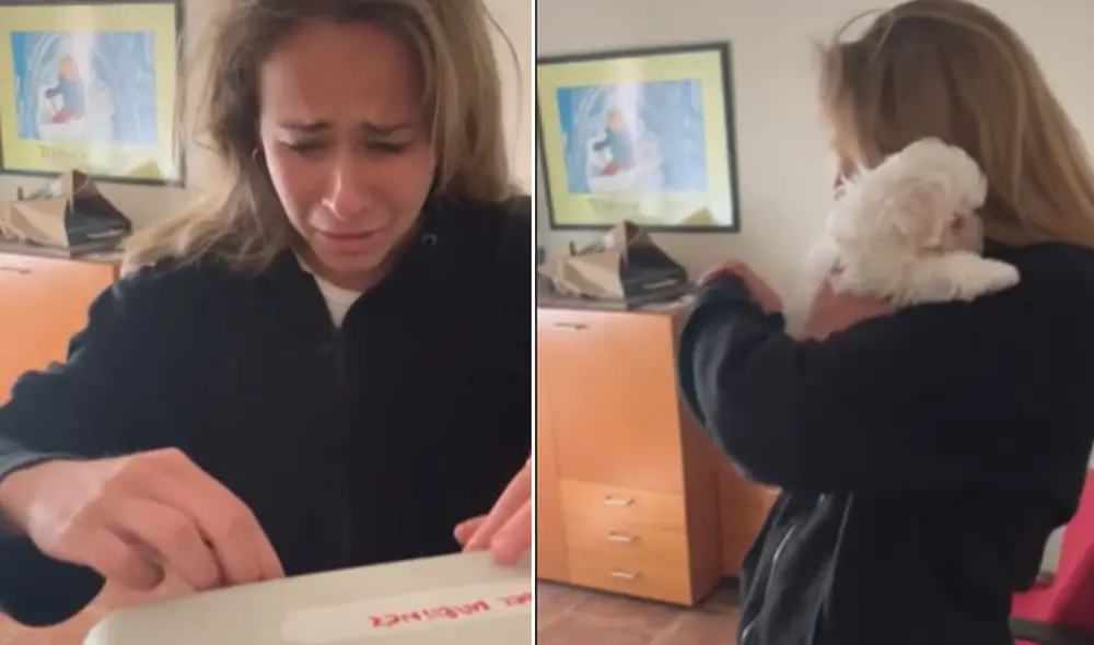 Esta emotiva escena se hizo viral y conmovió a miles en las redes sociales. Foto: captura de TikTok